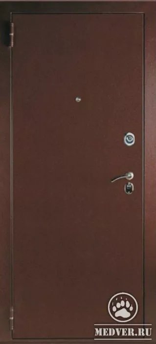 Дверь тамбурная 955
