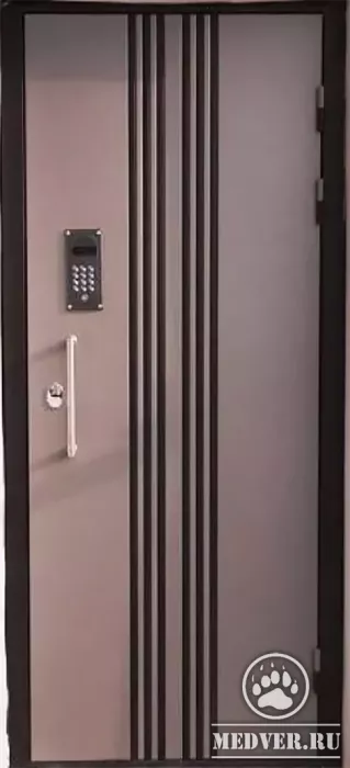 Дверь с домофоном-58